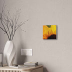 Chronic Sunshine Disorder