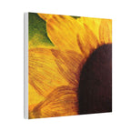 Sunshine With a Side of Nope