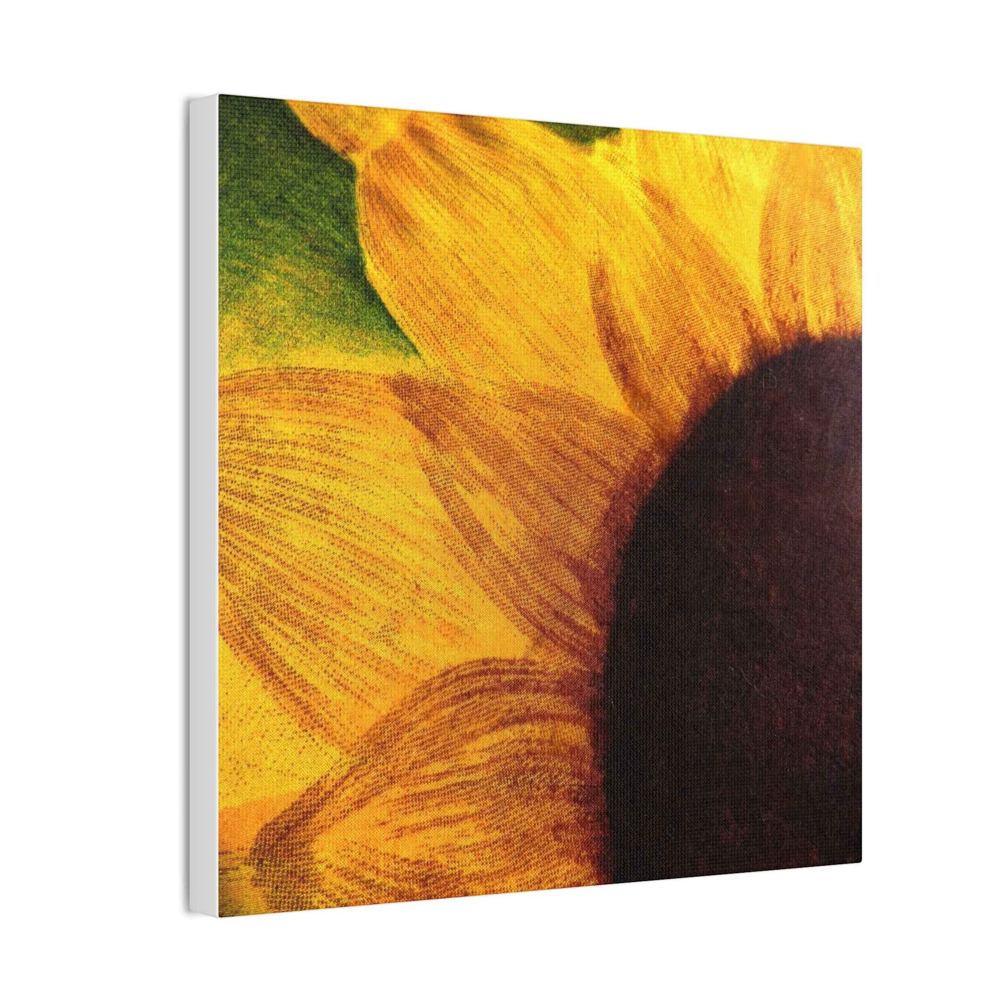 Sunshine With a Side of Nope