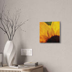 Chronic Sunshine Disorder