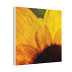 Chronic Sunshine Disorder