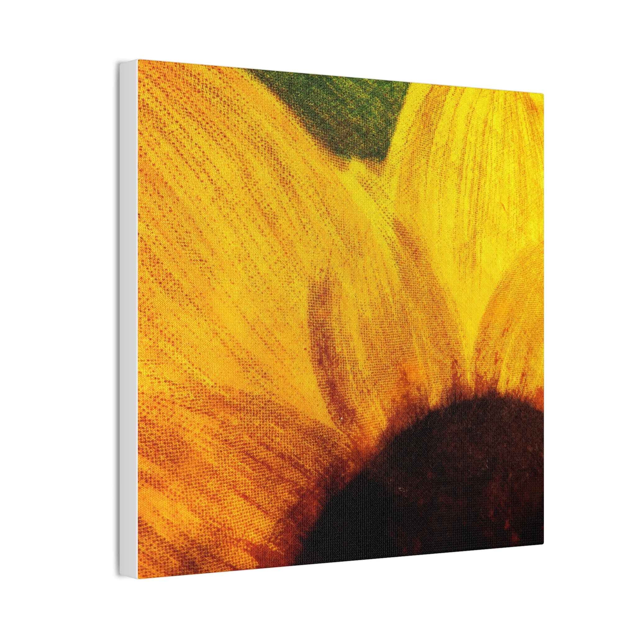 Chronic Sunshine Disorder