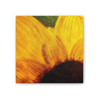 Chronic Sunshine Disorder