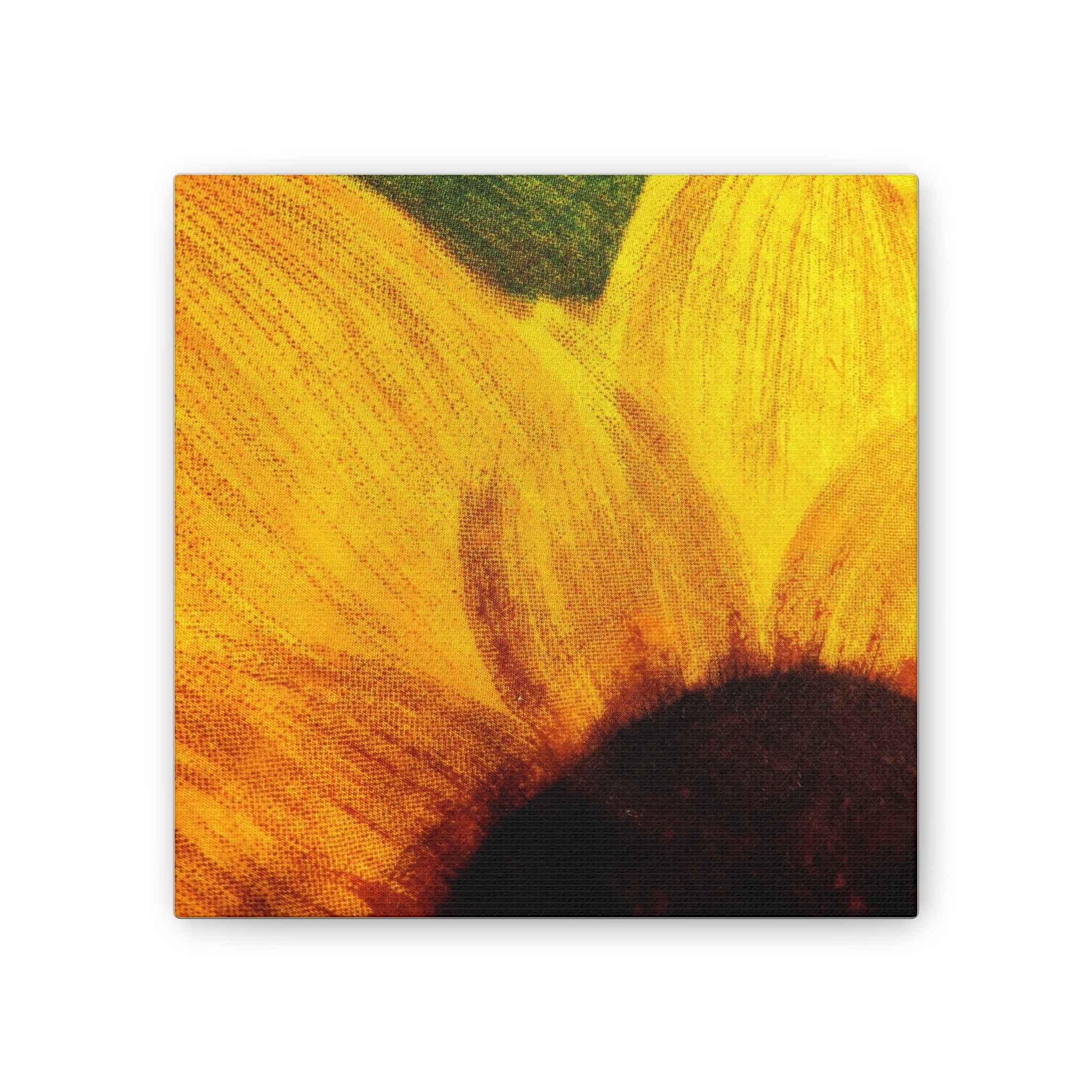 Chronic Sunshine Disorder