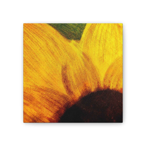 Chronic Sunshine Disorder