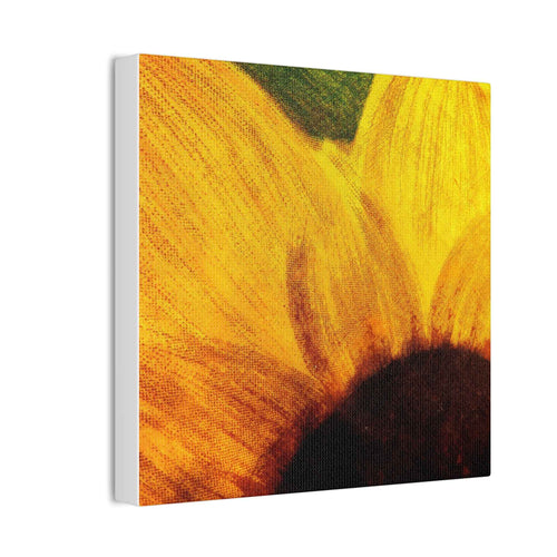 Chronic Sunshine Disorder