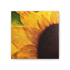 Sunshine With a Side of Nope