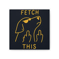 Fetch This