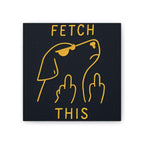 Fetch This