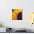 Sunshine With a Side of Nope