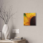 Sunshine With a Side of Nope