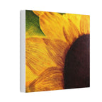 Sunshine With a Side of Nope