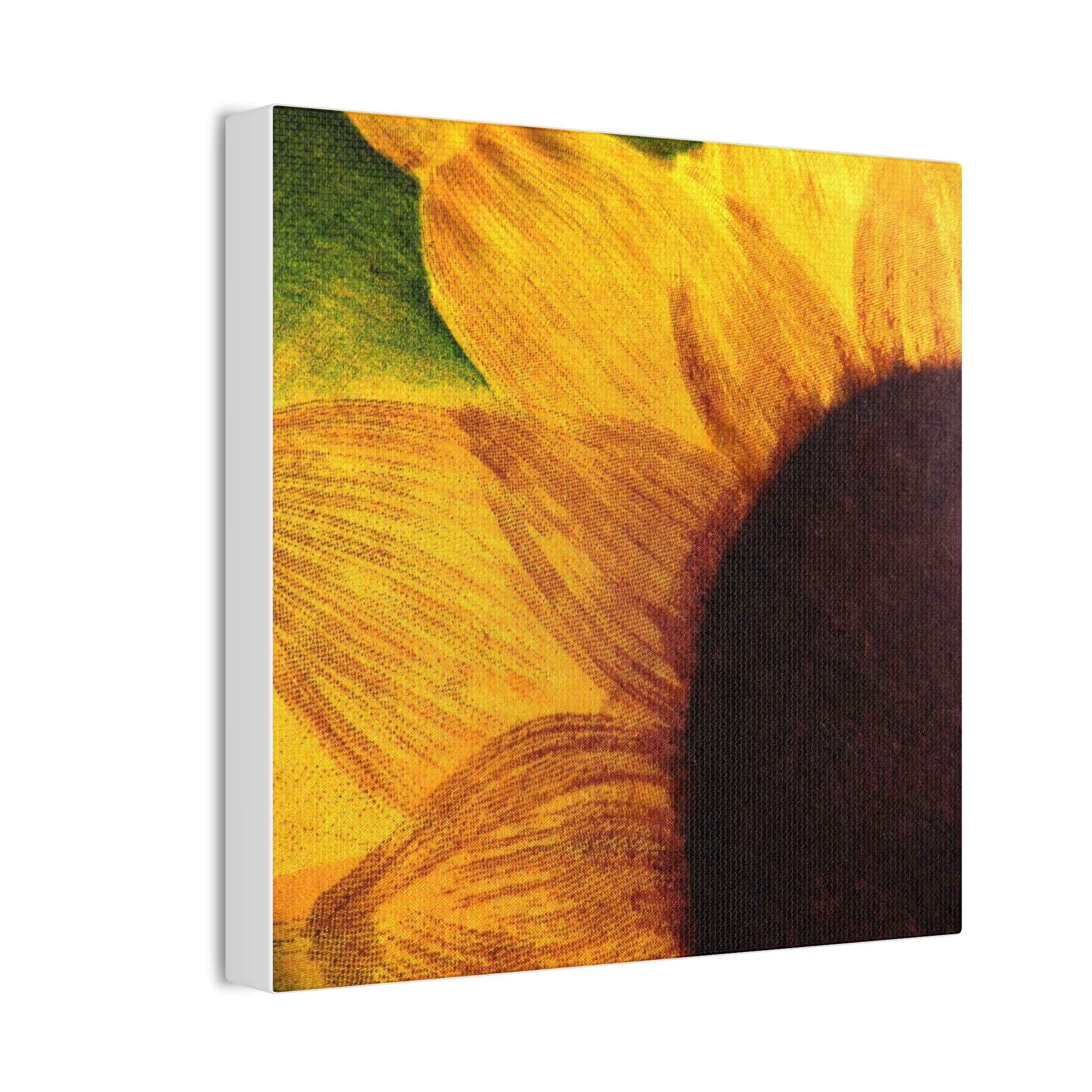 Sunshine With a Side of Nope