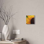 Sunshine With a Side of Nope